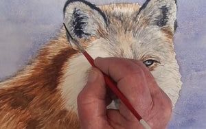 Comment peindre un portrait de renard roux à l'aquarelle