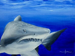 Comment peindre un requin à l'huile