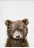tableau renard mignon