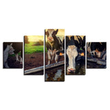 Tableau vache Boit de l’eau