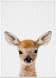 tableau renard mignon