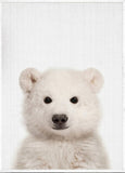 tableau renard mignon