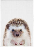 tableau renard mignon