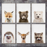 tableau renard mignon
