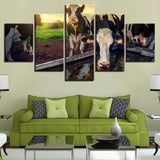 Tableau vache Boit de l’eau