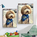 tableau chien ruban bleu