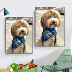 tableau moderne chien foulard bleu