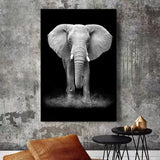 Affiche fond noir éléphant magnifique