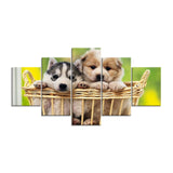 tableau chiots dans le panier