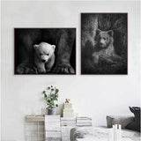 Tableaux ours photo noir et blanc