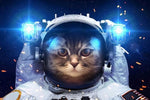 tableau d’un chat dans l’espace