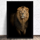 poster lion 1 pièce Magique fond noir
