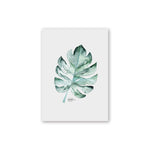 tableau feuille verte fond blanc