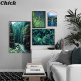 tableau route dans la jungle