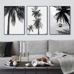 tableau photo noir et blanc tropicale