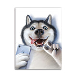 tableau husky et Iphone