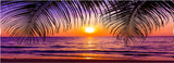 tableau plage ciel rose