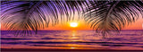 tableau palmier ciel rose