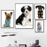 tableau chiot sur fond blanc