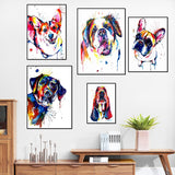 tableau basset coloré