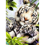 Affiche famille tigres blancs
