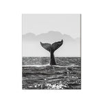 affiche photo baleine noir et blanc