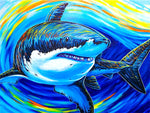 Affiche requin fond coloré