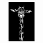 Cadre fond noir girafe