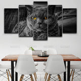 Tableau chat gris noir et blanc | La maison des tableaux
