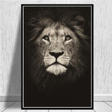 tableau lion sur un fond noir