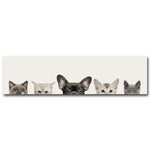 Tableau Chiens et chats fond blanc