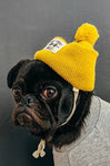 Tableau chien bonnet jaune