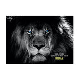 tableau affiche lion documentaire