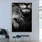 tableau photo lion mâle et femelle