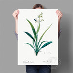 Affiche fond blanc fleur bleue feuille verte