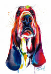 tableau saint Bernard coloré