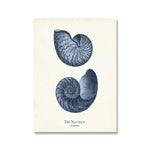 Retro Ocean Nautilus Whales Animal Poster Prints Vintage 
