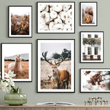 Nordic Poster Palm Leaf Grass Sheep Deer Alpaca Pumpkin Bike