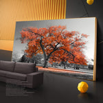 tableau noir et blanc arbre orange