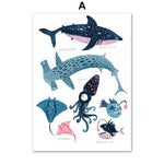 tableau type d’animaux marin
