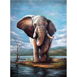 Affiche éléphant et lac