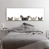 tableau pleins de tête de chat mignon