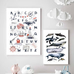 affiche animaux marin