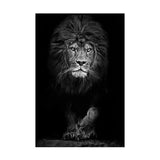 tableau lion majestueux noir et blanc