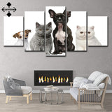 tableau chats et chiens sur fond blanc