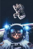 tableau d’un chat astronaute