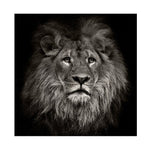 tableau visage lion fond noir