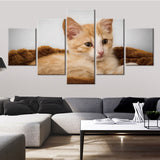 tableau chaton orange mignon