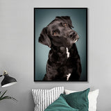 tableau photo berger allemand