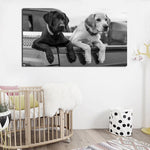 tableau deux labradors en noir et blanc